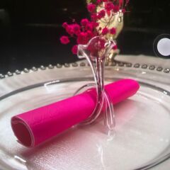 Üfleme Cam Sunumluk